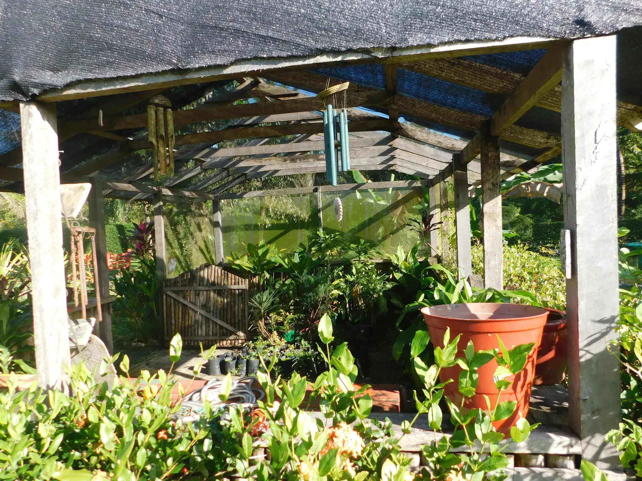 American Built Lush Garden Home on 2 Acres