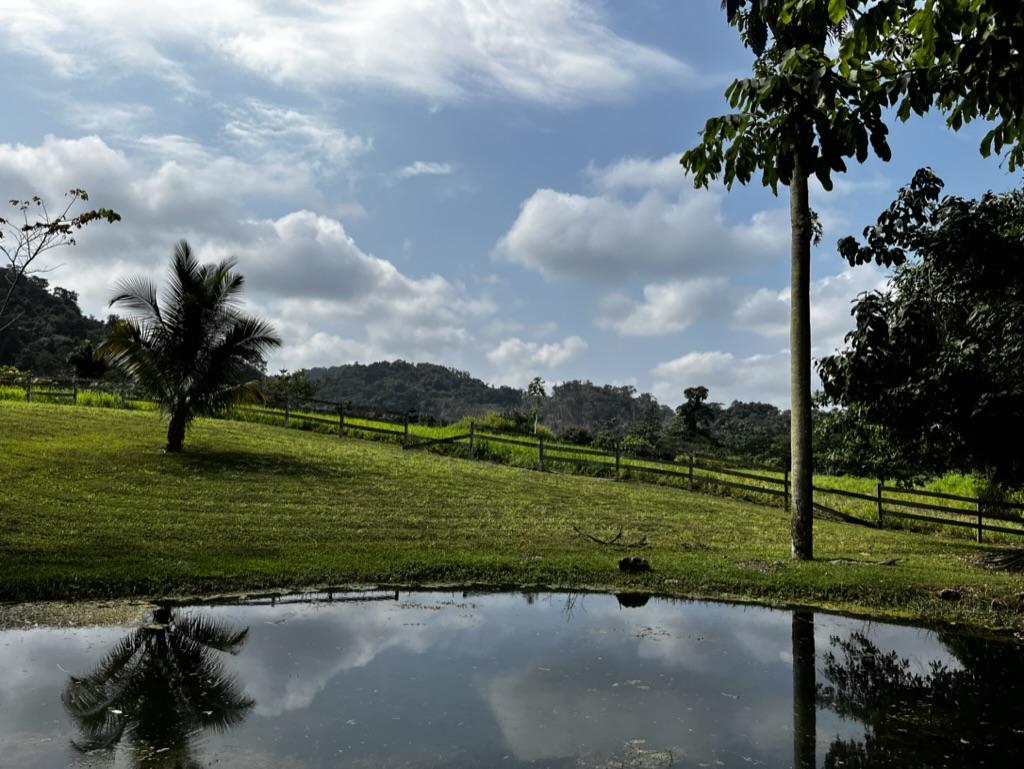 81 acres near Belmopan, in Agua Viva, creek, pastures and jungle with insane views!