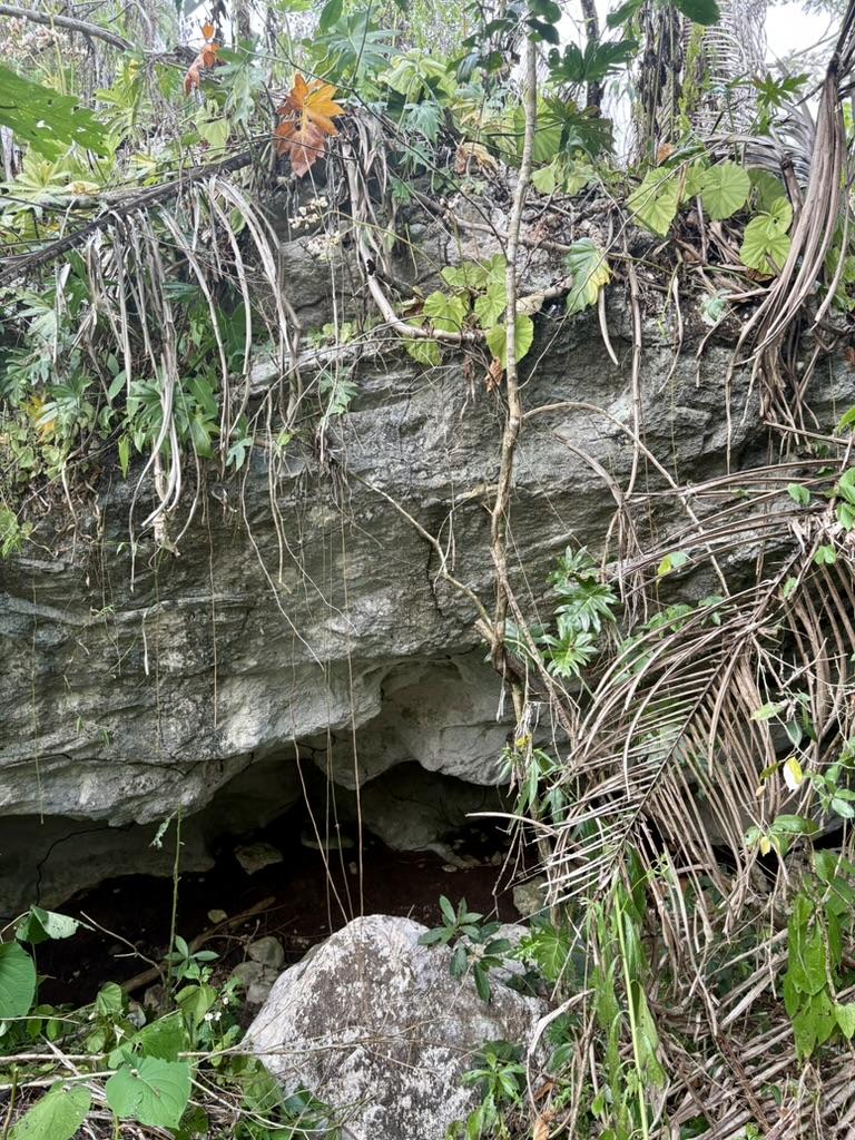 28 acres at the entrance to Agua Viva, minute from Hummingbird highway, With creek and cave