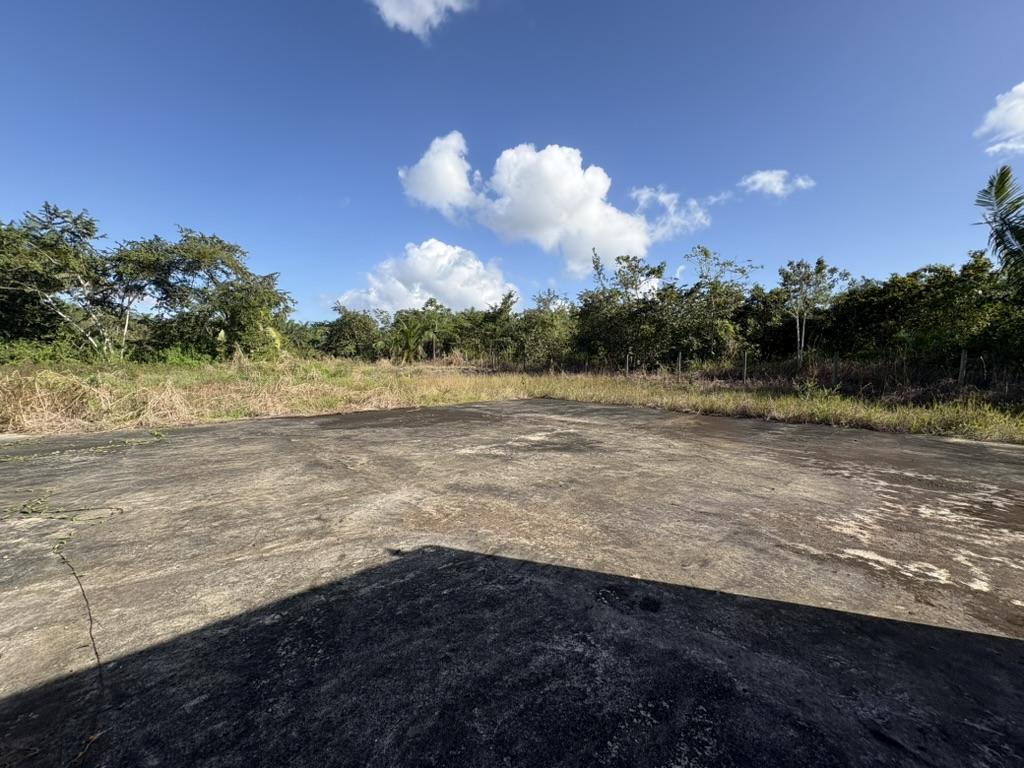 Almost 40 acres of beautiful land along Belize River on the Young Gal road, 15 minutes from the George Price Highway
