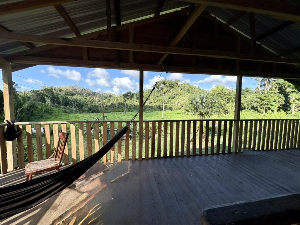 9.37-Acre Homestead Farm in a Prime Location, Popular growing off the grid community Agua Viva, Cayo, Belize.