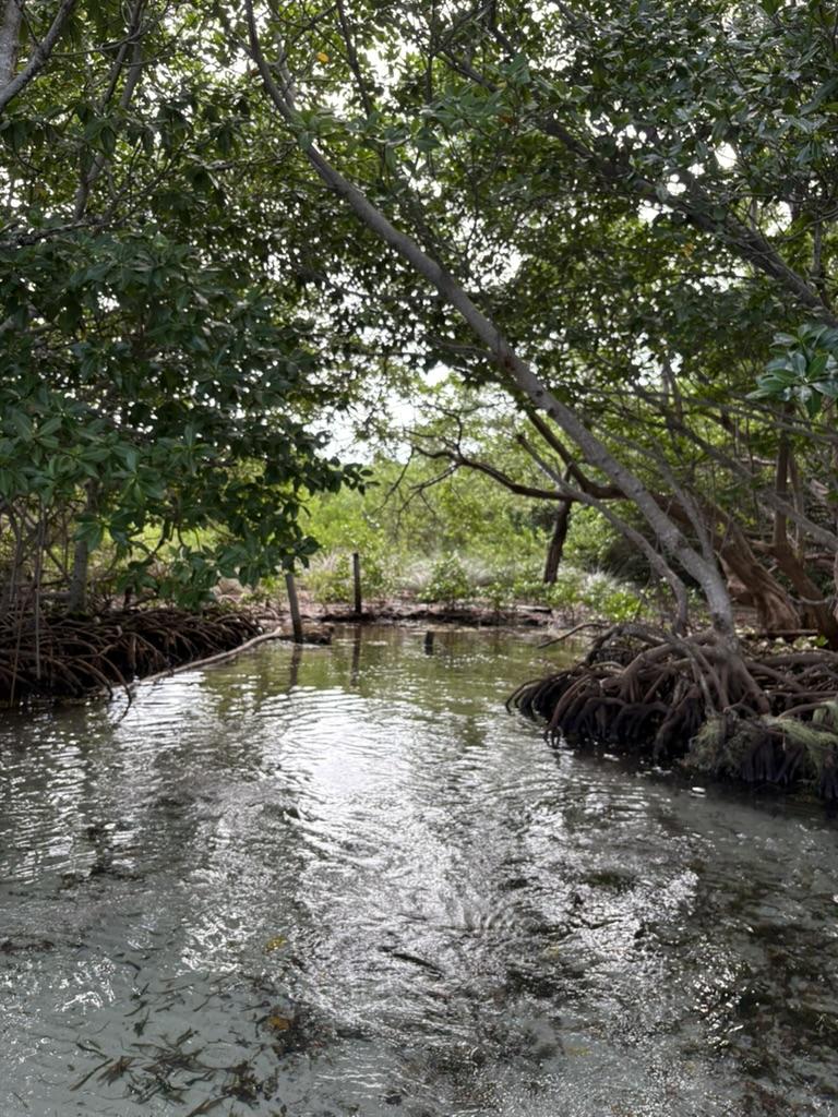 Seafront 1 acre lot on Southern Long Caye.