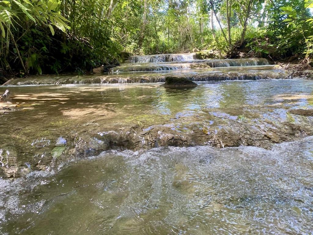 9.37-Acre Homestead Farm in a Prime Location, Popular growing off the grid community Agua Viva, Cayo, Belize.