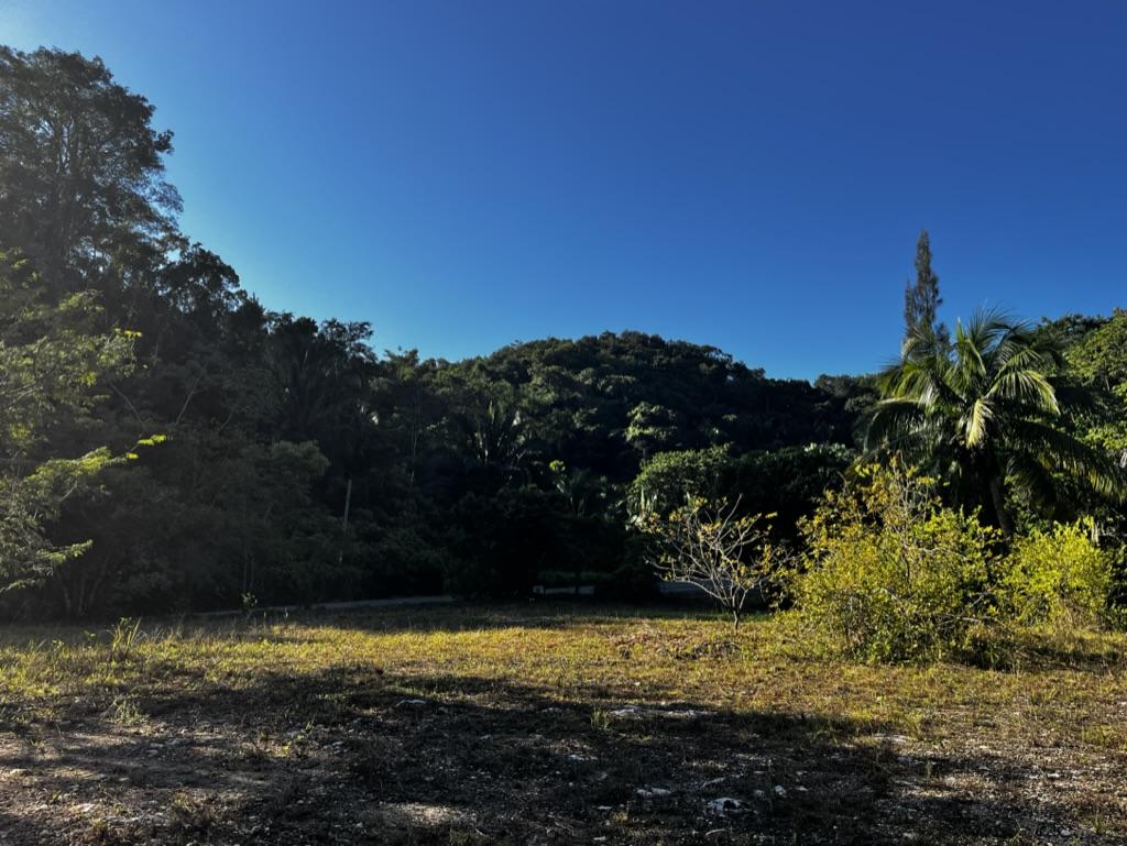 20 Acres Hummingbird Highway frontage, with Electricity and water, 6 miles away from Belmopan